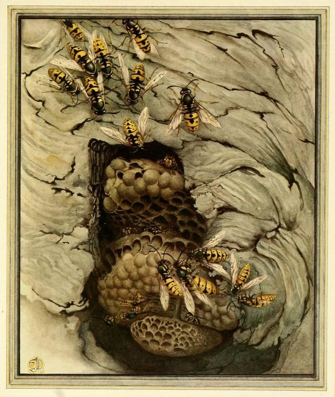 An image added by cosmos on Jul 10, 2024. May present: wasps art, common wasp, european hornet, painting, art.
