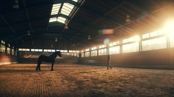 A cover of "马场" cluster. The owner is peachhoooh. The cluster consists of 3 elements.