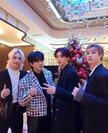 A cover of "skz" cluster. The owner is sanyeistired. The cluster consists of 14 elements.