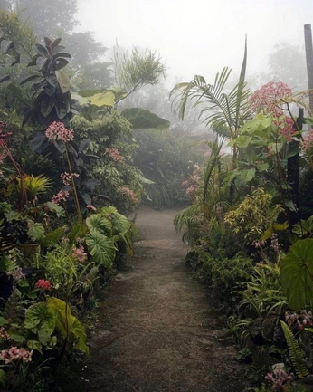 A cover of "Vườn ươm" cluster. The owner is tommm. The cluster consists of 30 elements.