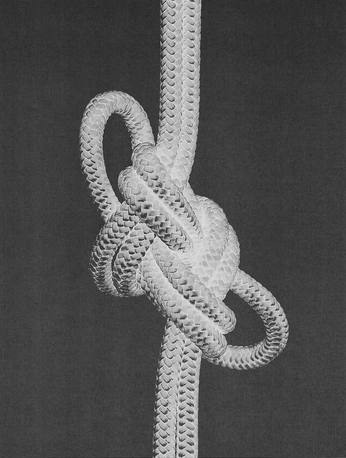 A cover of "cotten" cluster. The owner is petronifty. The cluster consists of 19 elements.