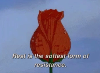 A cover of "phrases" cluster. The owner is haanaidd. The cluster consists of 5 elements.