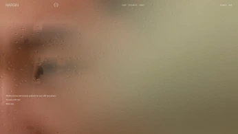 A cover of "Web" cluster. The owner is buckartstudios. The cluster consists of 1 element.