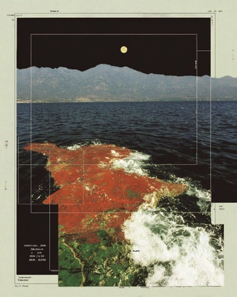 A cover of "ecosstemas" cluster. The owner is grjazminn. The cluster consists of 4 elements.