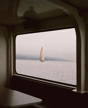 A cover of "Photography" cluster. The owner is mariajoaoaamaral. The cluster consists of 91 elements.