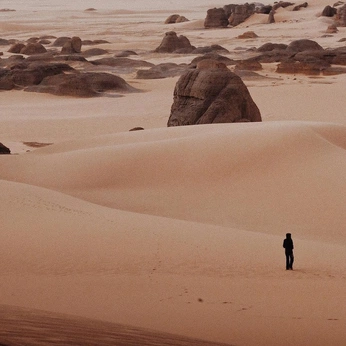 A cover of "Organic" cluster. The owner is mateuwalker. The cluster consists of 215 elements.