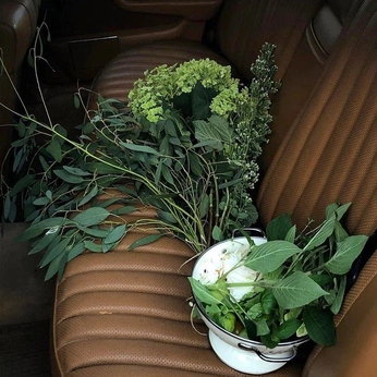 A cover of "sanaé" cluster. The owner is itbeccs. The cluster consists of 268 elements.