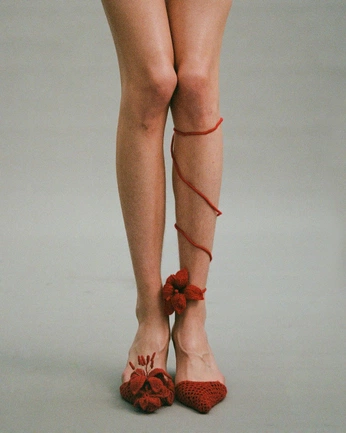 A cover of "SHOES" cluster. The owner is capucinejacquet. The cluster consists of 2 elements.