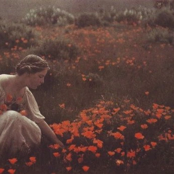 A cover of "Old Photos" cluster. The owner is knaveofspades. The cluster consists of 264 elements.