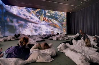 A cover of "nose" cluster. The owner is morijorge. The cluster consists of 22 elements.