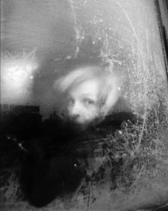 A cover of "photography" cluster. The owner is jjjddd. The cluster consists of 61 elements.