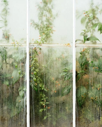 A cover of "Rainy" cluster. The owner is emisue. The cluster consists of 9 elements.