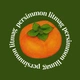 persimmon.litmag