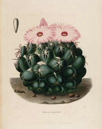 A cover of "Art" cluster. The owner is gabthegoose. The cluster consists of 21 elements.