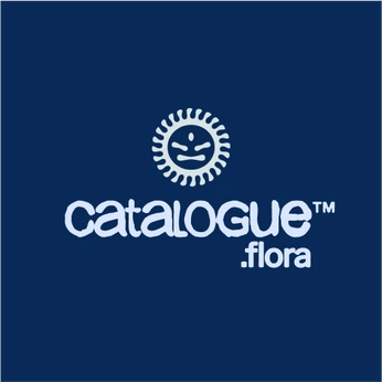 A cover of "CATALOGUE ® [FLORA]" cluster. The owner is diosimos. The cluster consists of 8 elements. 3 create it.