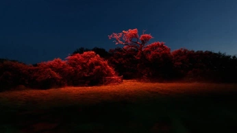 A cover of "LY INSTALATION" cluster. The owner is poseradu. The cluster consists of 2 elements.