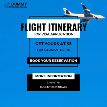 A cover of "Dummy Flight Ticket" cluster. The owner is dummyticket. The cluster consists of 2 elements.