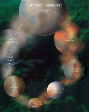 A cover of "Infographic" cluster. The owner is danibirbs. The cluster consists of 5 elements.