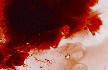 A cover of "Blud" cluster. The owner is amiscrolls. The cluster consists of 11 elements.