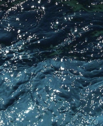 A cover of "FS" cluster. The owner is tanyalize. The cluster consists of 56 elements.