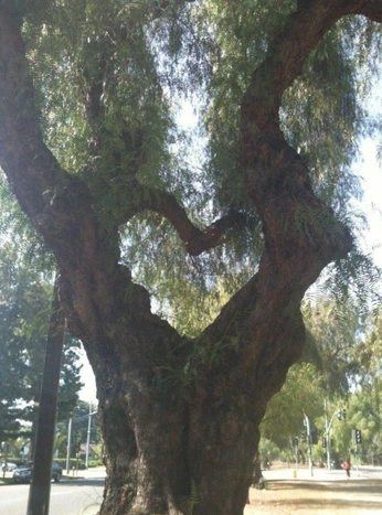 A cover of "<3" cluster. The owner is daily.moodlist. The cluster consists of 18 elements.