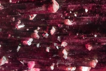 A cover of "boom boo, room" cluster. The owner is 4amloony. The cluster consists of 14 elements.