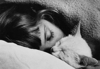 A cover of "cat in the bed" cluster. The owner is ferchiss. The cluster consists of 5 elements.