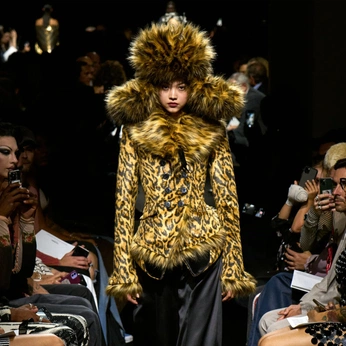 A cover of "Jean Paul Gaultier" cluster. The owner is jasonmorgen. The cluster consists of 36 elements.