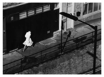 A cover of "photography" cluster. The owner is minitacopapi. The cluster consists of 18 elements.