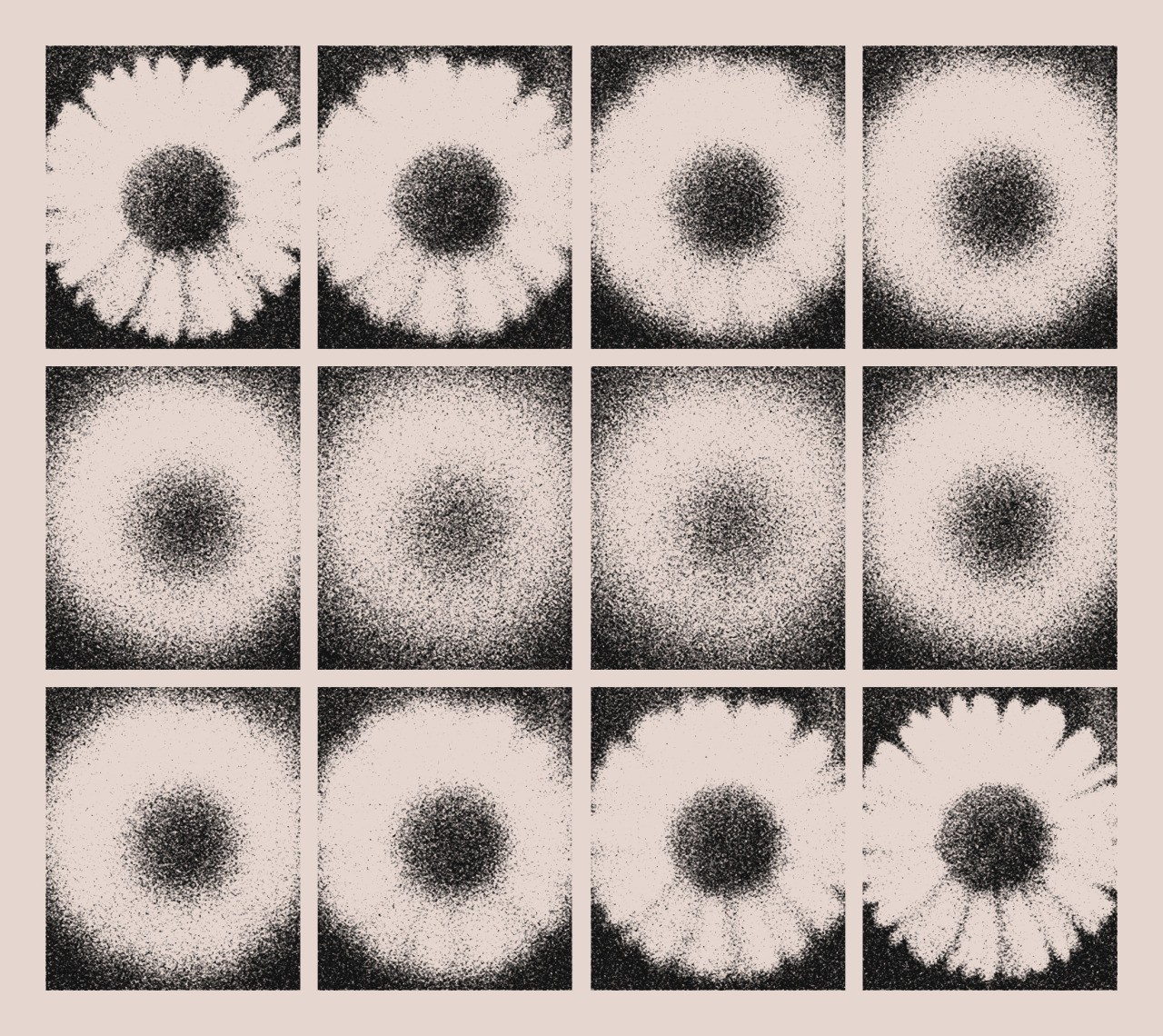 black & white moodboard