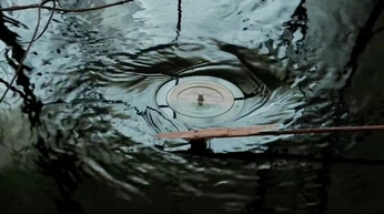 A cover of "Overload" cluster. The owner is blueiceyy. The cluster consists of 23 elements.