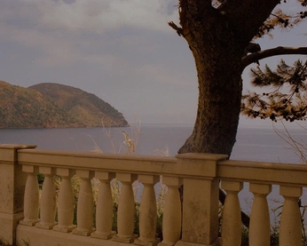 A cover of "𝐀𝐍𝐄𝐌𝐎𝐈𝐀" cluster. The owner is tyleranderson. The cluster description is "𝘈𝘯𝘦𝘮𝘰𝘪𝘢, 𝘯𝘰𝘴𝘵𝘢𝘭𝘨𝘪𝘢 𝘧𝘰𝘳 𝘵𝘩𝘦 𝘶𝘯𝘭𝘪𝘷𝘦𝘥.". The cluster consists of 161 elements.