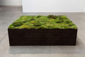 A cover of "SS MOSSY GROVE" cluster. The owner is lydiaharouna. The cluster consists of 2 elements.