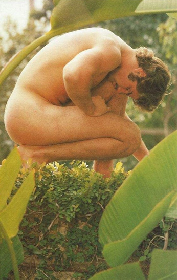 A cover of "🌱" cluster. The owner is elizaarielle. The cluster consists of 10 elements.