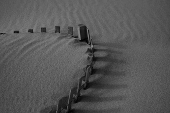 A cover of "Beach in B+W" cluster. The owner is andrew. The cluster consists of 9 elements.