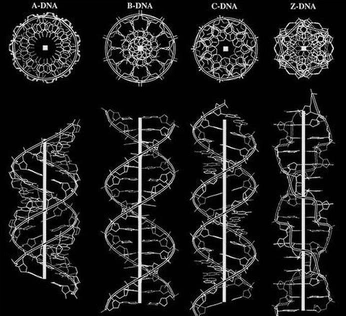 A cover of "dna" cluster. The owner is soul.fluency. The cluster consists of 1 element.