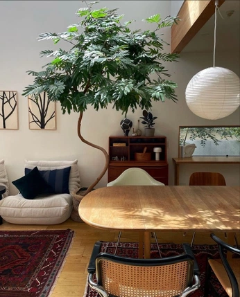 A cover of "Haus" cluster. The owner is pinxl. The cluster consists of 36 elements.