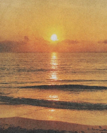 A cover of "solen" cluster. The owner is loppanlokind2003. The cluster consists of 39 elements.