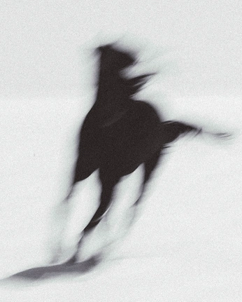 A cover of "animals" cluster. The owner is berkov. The cluster consists of 19 elements.