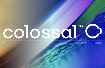 A cover of "Branding" cluster. The owner is maxdotson. The cluster consists of 6 elements.