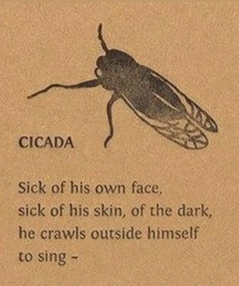 A cover of "poem" cluster. The owner is marlynn. The cluster consists of 1 element.