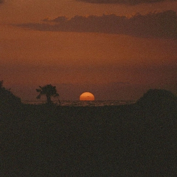 A cover of "sunset" cluster. The owner is tyler. The cluster description is "just close your eyes and relax ☀️". The cluster consists of 22 elements.