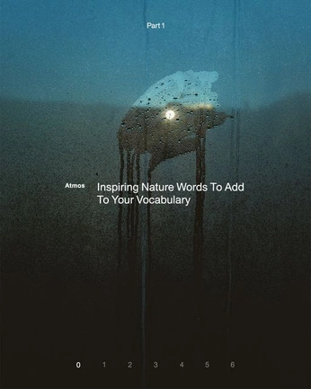 A cover of "FW 25/26" cluster. The owner is colourjo. The cluster consists of 3 elements.