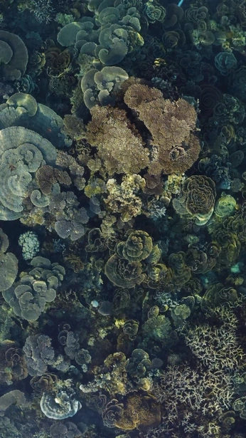 A cover of "Photozone" cluster. The owner is sargiskudeyan. The cluster consists of 2 elements.