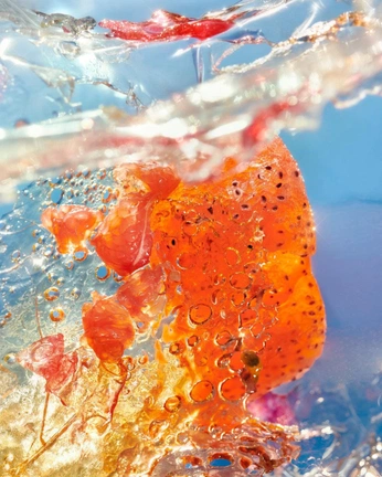 A cover of "[Glo] Product Shoot" cluster. The owner is wushies. The cluster consists of 11 elements.