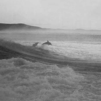 A cover of "instagram" cluster. The owner is sophy. The cluster consists of 3 elements.