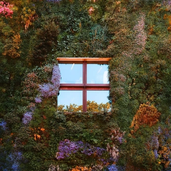 A cover of "vida e paisagem" cluster. The owner is rafaelaa. The cluster consists of 56 elements.