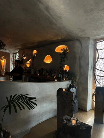 A cover of "Organic interior" cluster. The owner is pinapan. The cluster consists of 1 element.