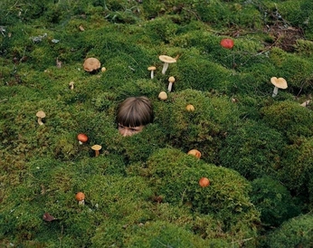 A cover of "odd garden" cluster. The owner is dittobean. The cluster consists of 2 elements.