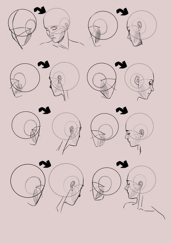 A cover of "illustration:Head" cluster. The owner is alexlessness. The cluster consists of 2 elements.